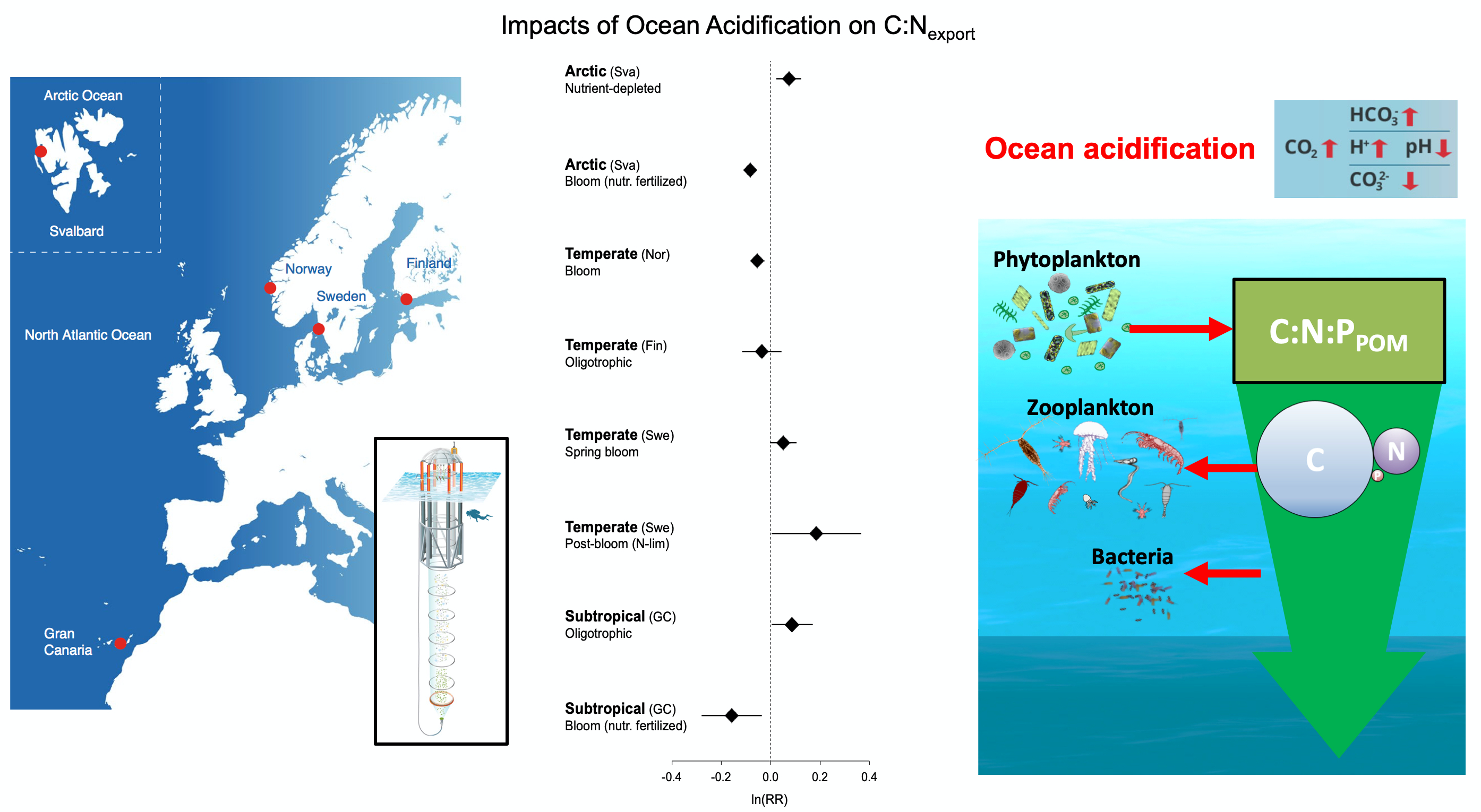 biological pump :: Ocean Carbon & Biogeochemistry
